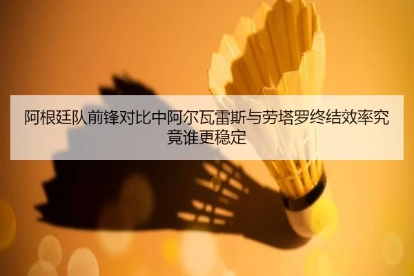 阿根廷队前锋对比中阿尔瓦雷斯与劳塔罗终结效率究竟谁更稳定