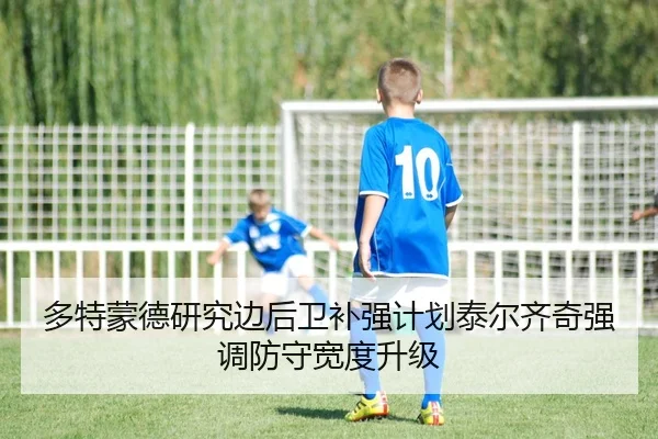 多特蒙德研究边后卫补强计划泰尔齐奇强调防守宽度升级